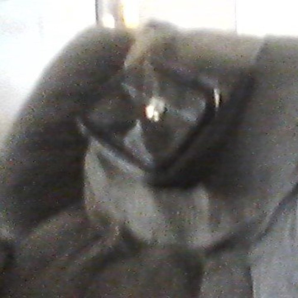 Leather Purse